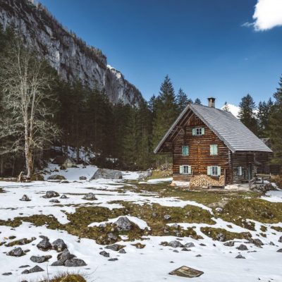 Nachhaltigkeit der Jagd, Jagdfakten Österreich