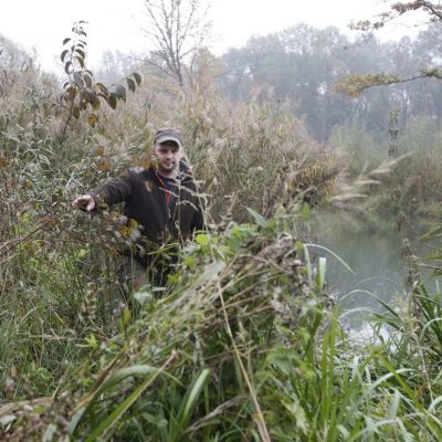 Jagdaufseher, Unterschied zwischen Jägern und Jagdschutzorganen, Jagdfakten Österreich