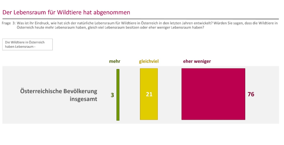 Lebensraum für Wildtiere hat in Österreich abgenommen