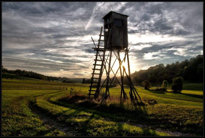 Jagdunfälle, Hochstand - Jagdfakten.at