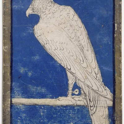 Spielkarte Falken As (Eins). Der Falke ist der jagende Raubvogel.