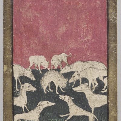 Jagdhunde in der Kunst, Jagdfakten.at informiert