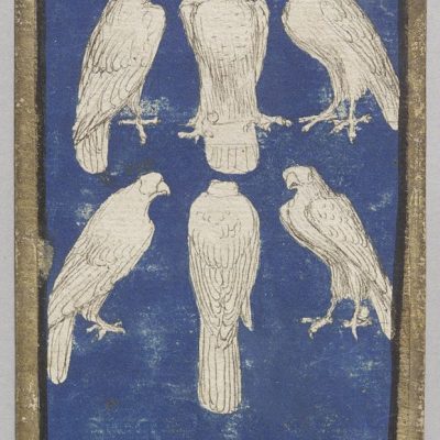 Spielkarte Falken Sechs. Der Falke ist der jagende Raubvogel.