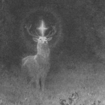 Eustachius und Hubertus, Jagdheilige, Jagdfakten Österreich
