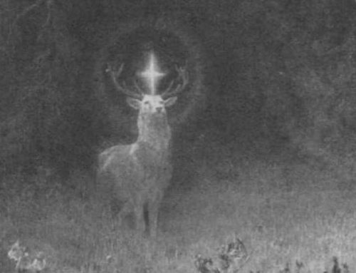 Eustachius und Hubertus – Ursprünge unserer Jagdheiligen