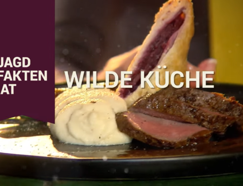 Jagdfakten.at Spezial: Wilde Küche „Rehschnitzel“