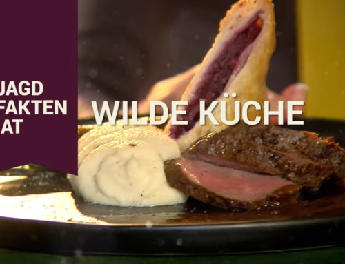 Jagdfakten.at Spezial: Wilde Küche “Rehschnitzel”