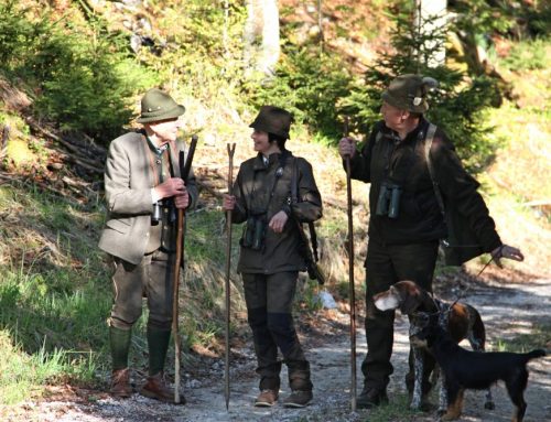 Die wichtigsten Fragen zu Jagd & Jäger in Österreich