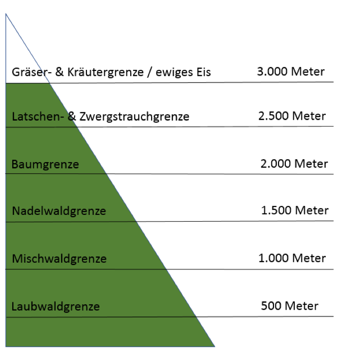 Jagdfakten_Lebensraum_Berge_Grafik Vegetation am Berg, Grafik, Jagdfakten Österreich
