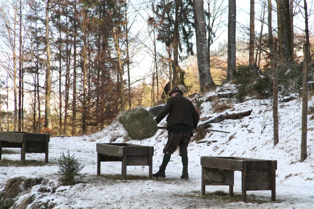 Wildhege und Fütterung, Jagdfakten.at informiert