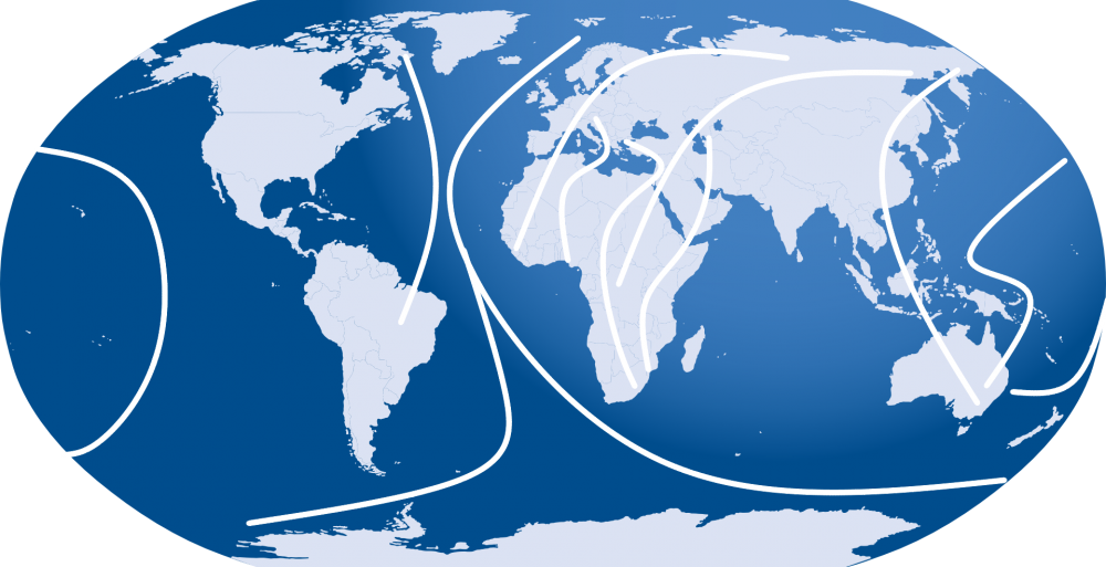 Zugvögel-Routen weltweit, Jagdfakten. at informiert