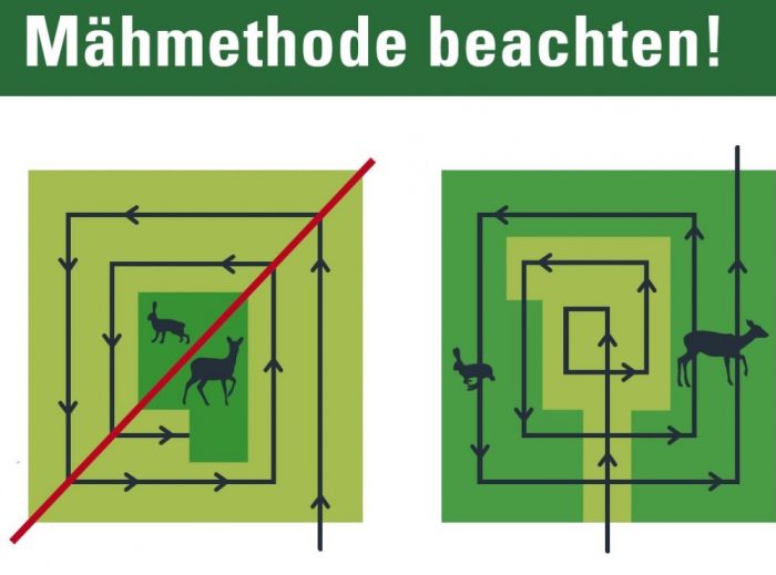 Rehkitz, Rettung, Mähtod