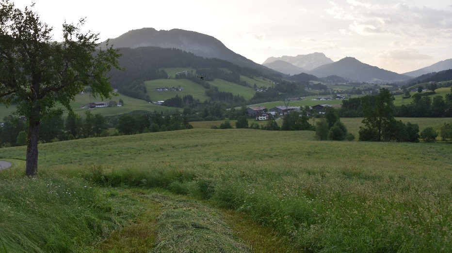 Rehkitzrettung, Anmähen, Jagdfakten.at informiert