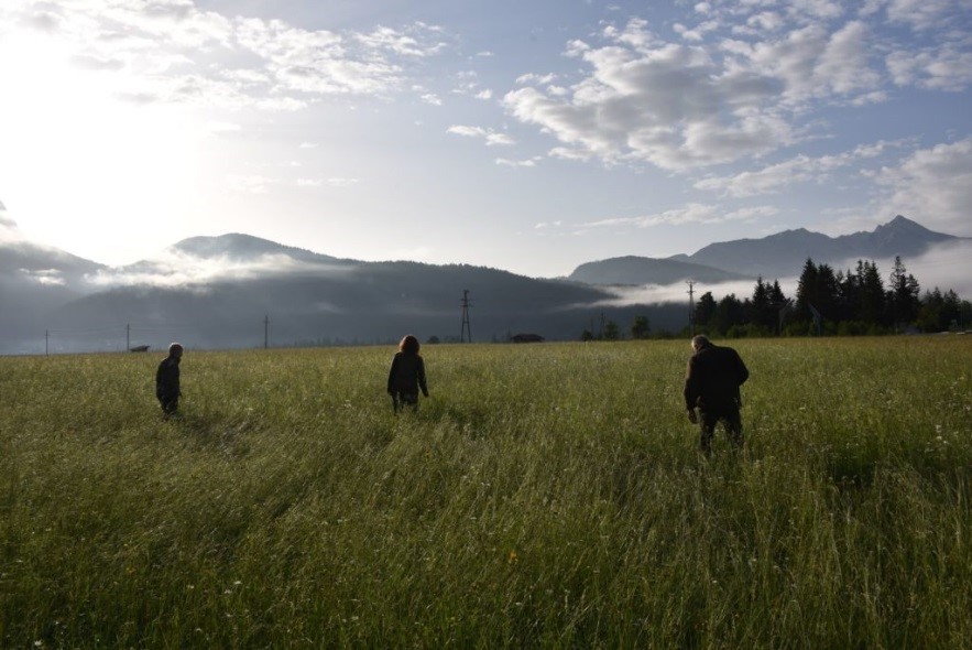 Rehkitz Rettung Mähtod, Jagdfakten.at informiert