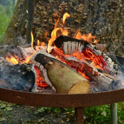 10 Tipps für sicheres Grillen, Jagdfakten.at