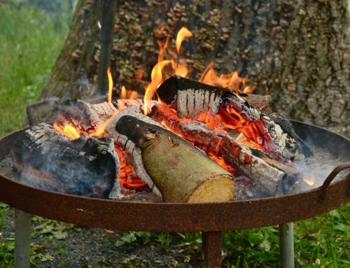 10 Tipps, damit die Wurst und nicht der Wald brennt: