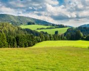 Lebensraum und Wild, Jagdfakten.at