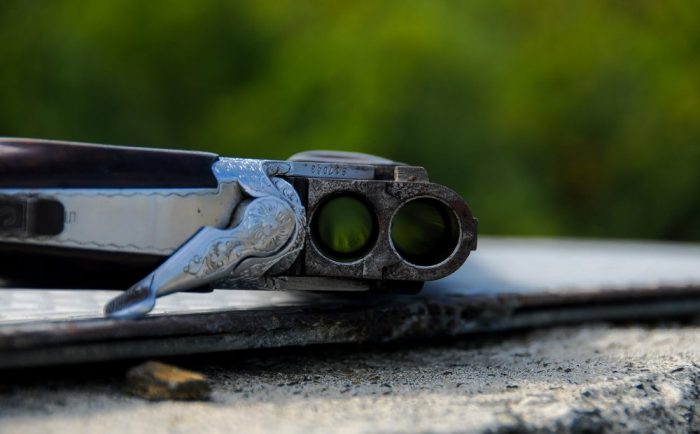 Jagdunfall vermeiden, Jagdfakten Österreich