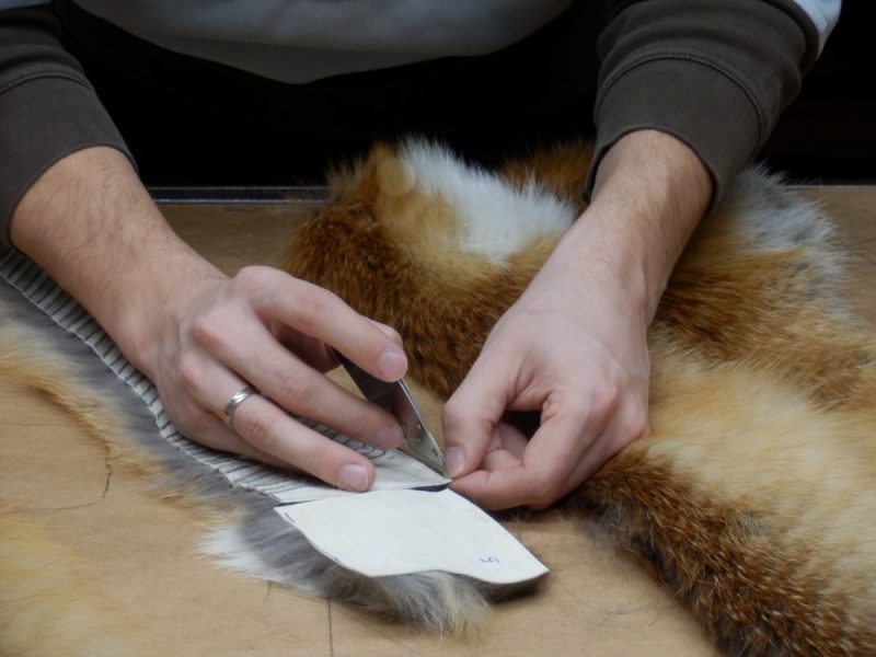 Fuchs_Jagdfakten.at_Sladky_Pelz_2