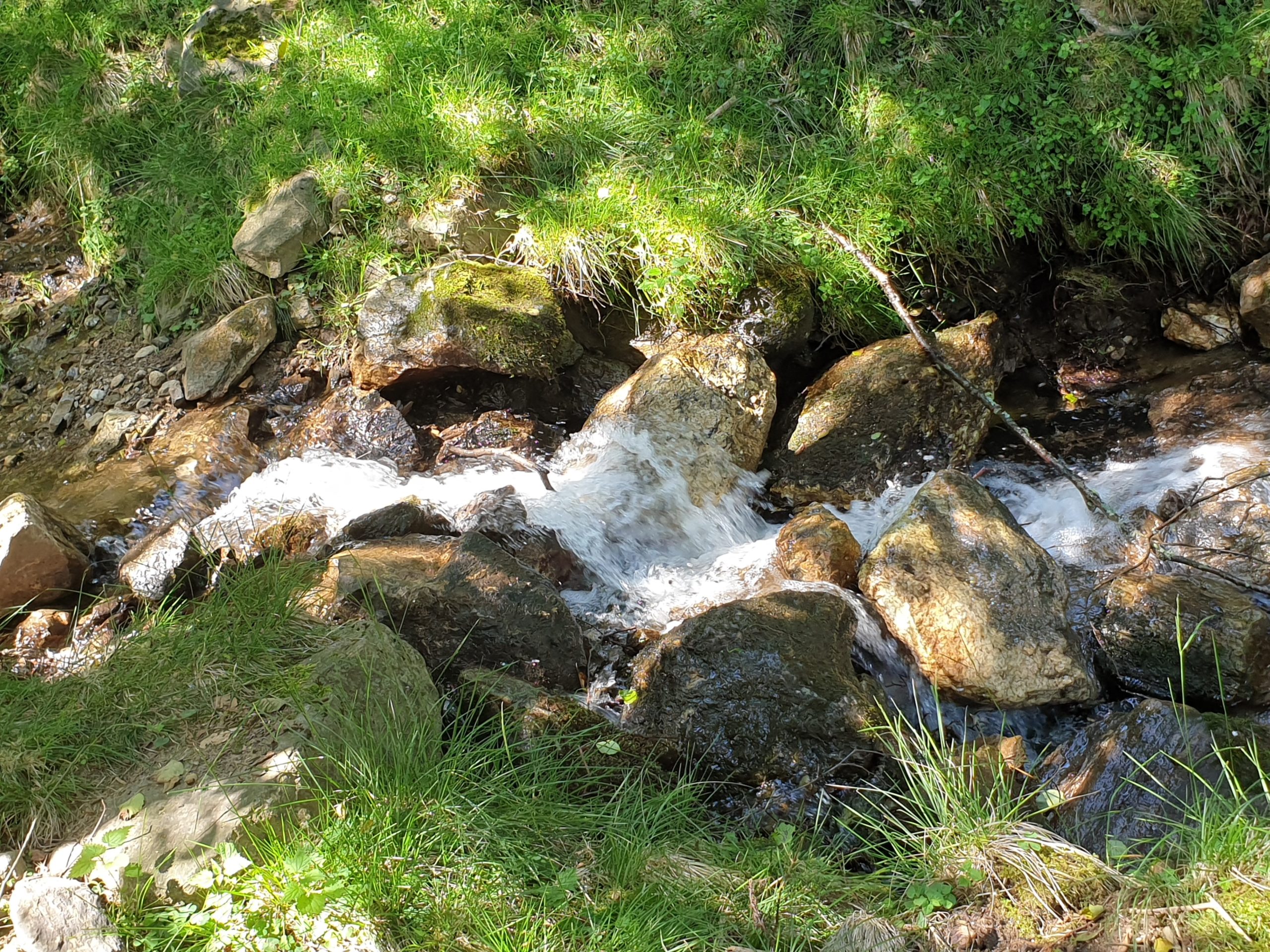 Freizeittipps Nationalparks in Österreich, Alpenwildpark Feld am See, Jagdfakten.at