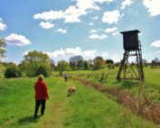 Haftpflicht-Versicherung für Jäger, Jagdfakten.at informiert