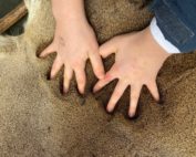 eine echte Jägerin führt Schulklassen durch den Wald: Elisabeth Schlemper, Jagdfakten.at