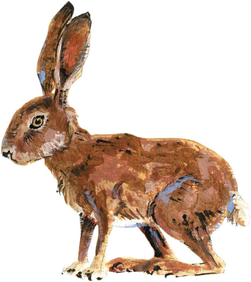 Hase, Feldhase, Grafik von Lisa Manneh Woher kommt der Osterhase? Jagdfakten.at informiert.