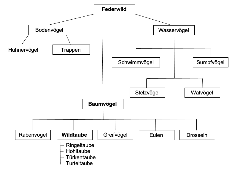 Tierfamilie Taubenvögel, Jagdfakten.at