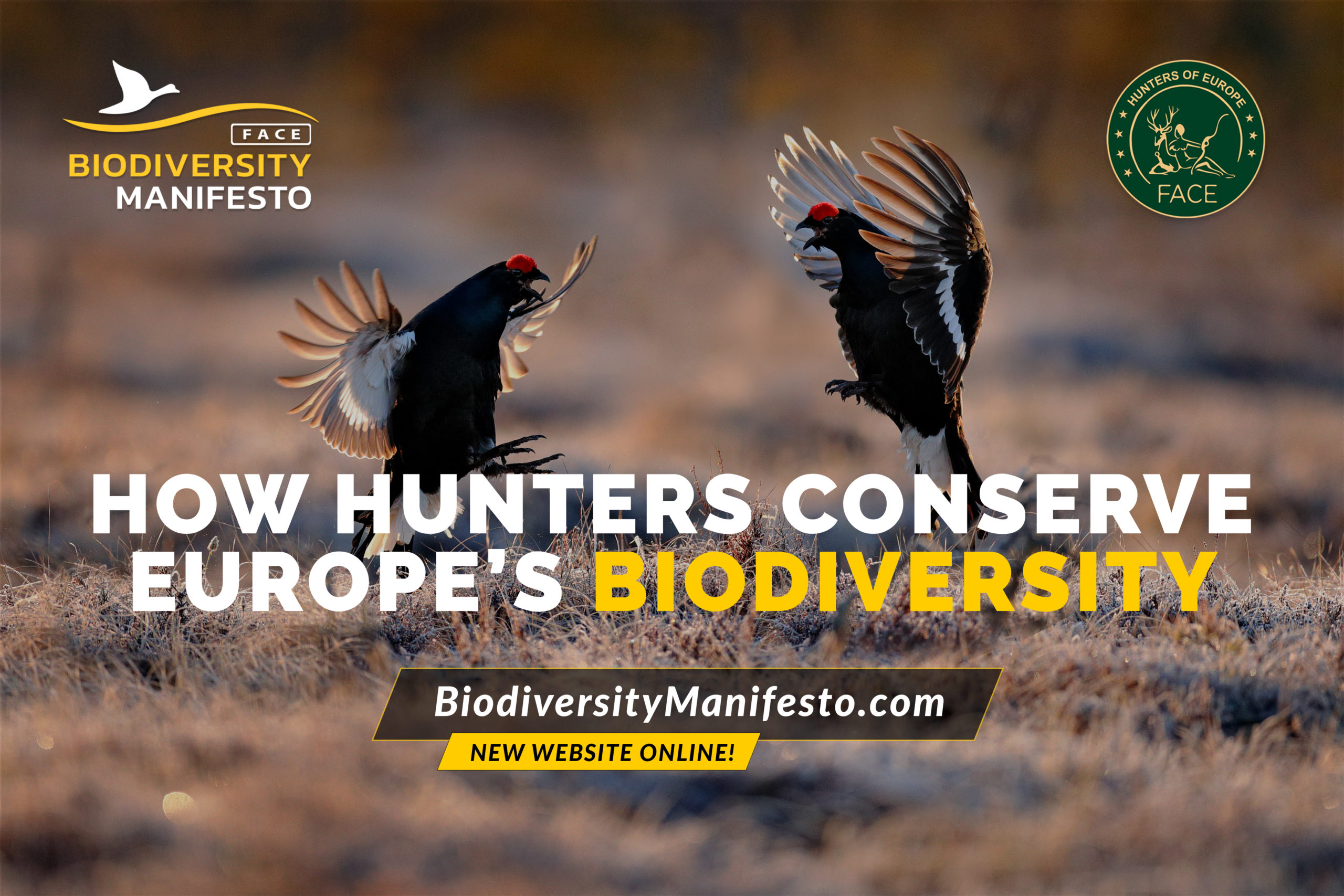 Banner: Biodiversity Manifesto