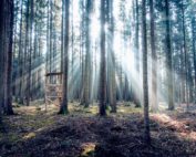 Jagdprüfung & Jagdkarte in Österreich: Jagdfakten.at informiert