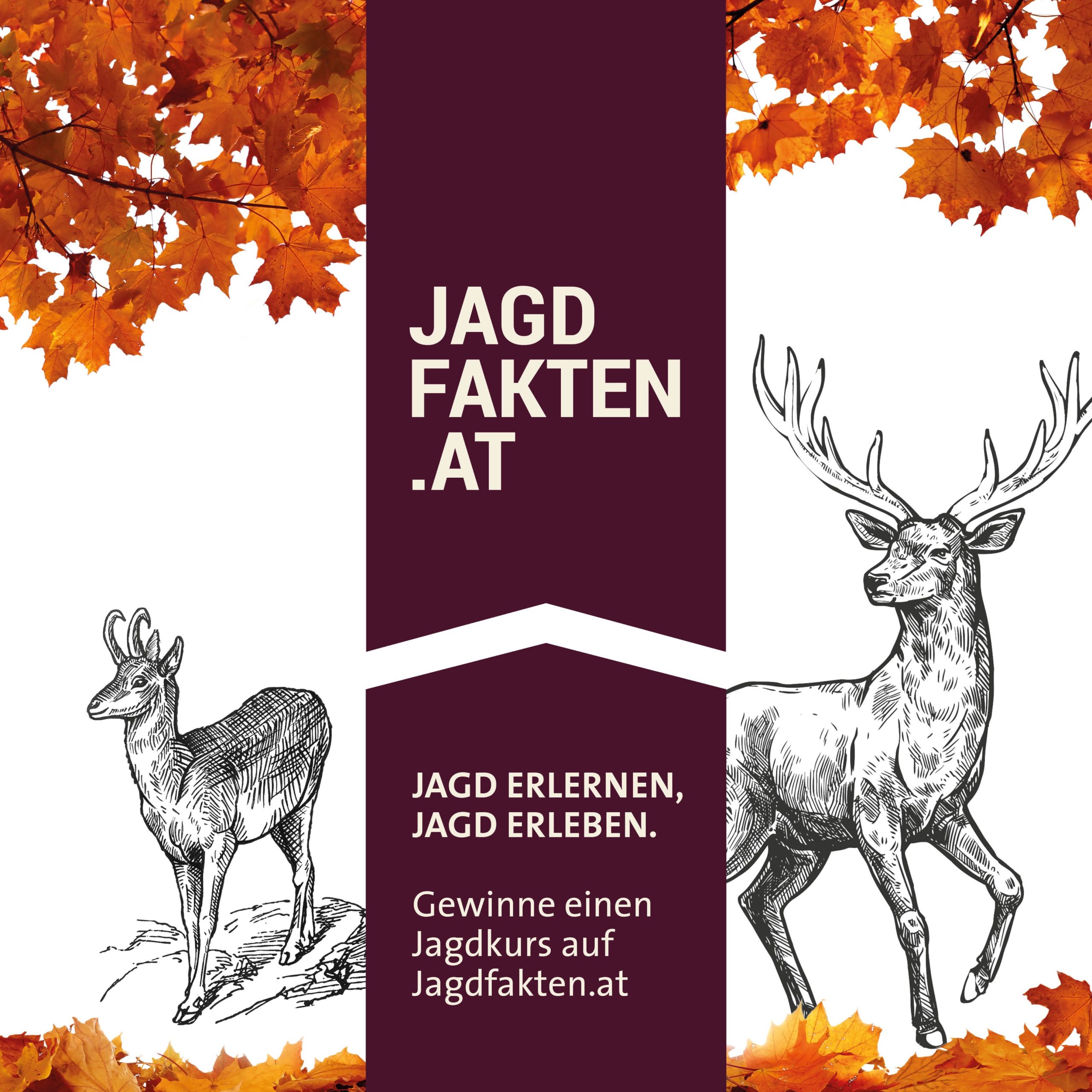 Gewinnspiel: Jagdkurs gewinnen