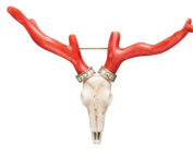 Schmucke Trophäen, A.E. Koechert, Jagdfakten.at