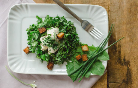 Baerlauchrezepte vom Starkoch: Kraeuter-Baerlauch-Salat