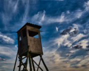 Hochstand: Jagdfakten.at informiert über Ansitzeinrichtungen