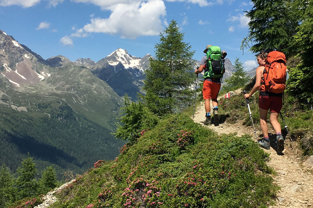 Auf Weg bleiben schuetzt vor Wildschaeden - Jagdfakten.at informiert