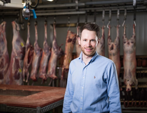 Wildfleisch vom Metzger empfohlen