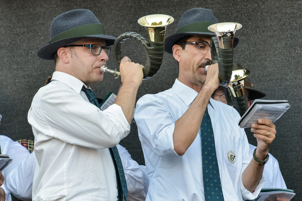 Jagdhornblaeser Rathaus 2018 Jagdhornblaeser Rathaus - Jagdfakten.at informiert