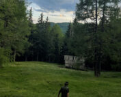 Von Natur begeistert - die Erzählung einer Jagd: Jagdfakten.at informiert