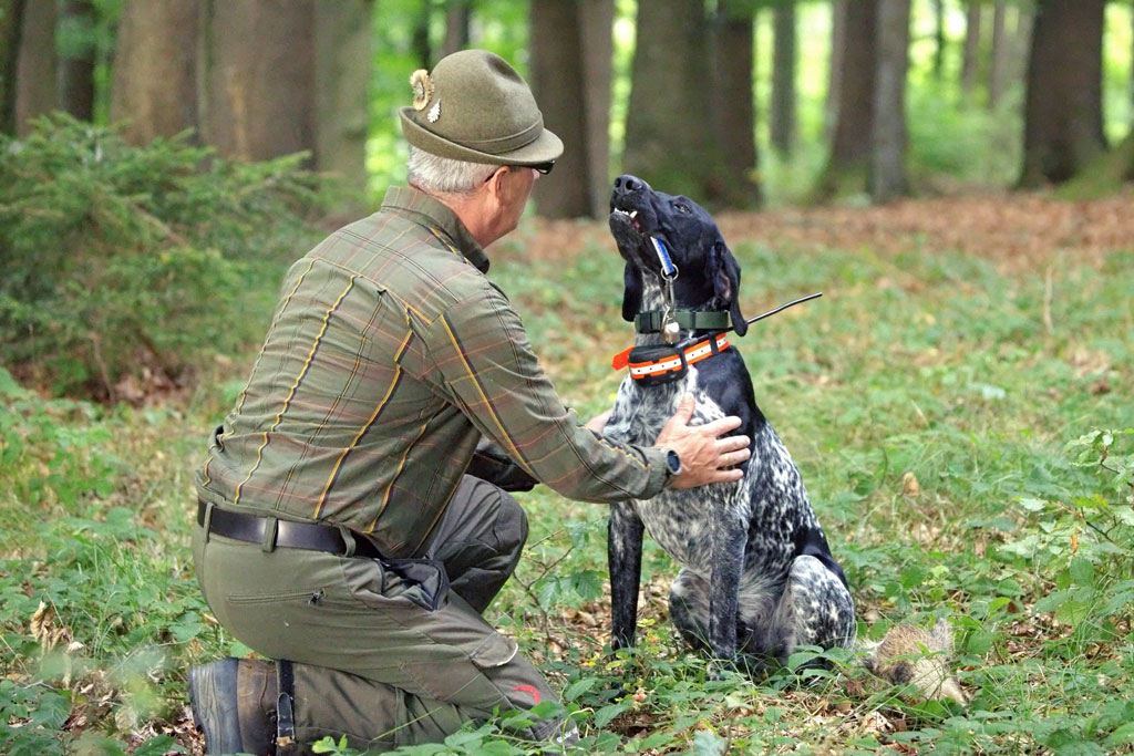 ASP Kadaversuchhund-Gespann © Christopher-Böck Hunde gegen Schweinepest - Ausbildung von Kadaverspürhunden: Jagdfakten.at informiert