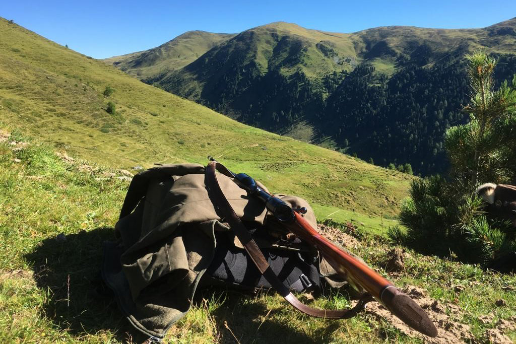 Werte mit Bestand: nachhaltig mit Umwelt, Wildtieren und Pflanzen umgehen - Jagdfakten.at informiert