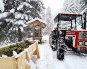 Jagd im Winter - Jagdaufseher gibt Einblicke: Jagdfakten.at informiert