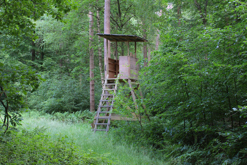 Hochstand im Wald Wer ist im Wald wofür zuständig - Jagdfakten.at informiert