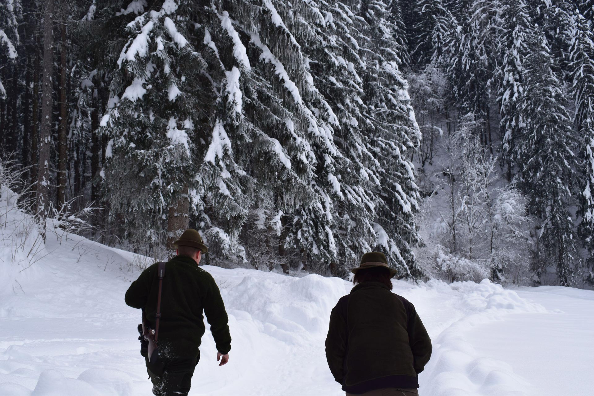 Jagd ist, wenn die Arbeit nach Feierabend beginnt - Jagdfakten.at informiert
