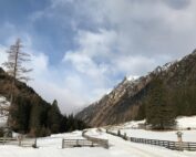 Wildruhezone für Gamswild auf der Lanischalpe - Jagdfakten.at informiert