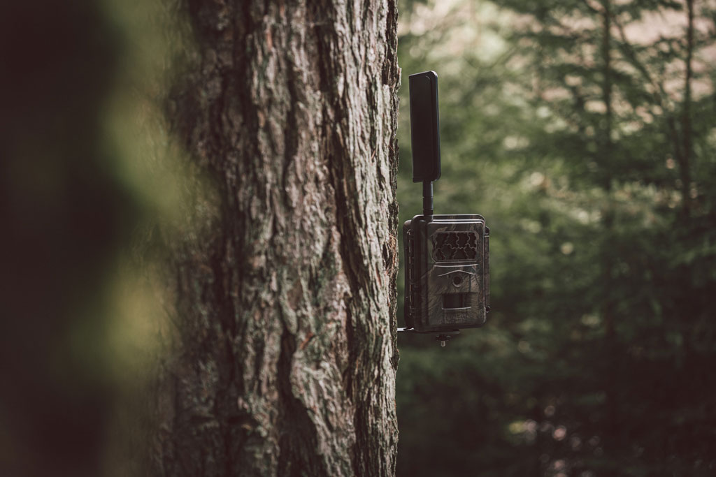 Seissiger LTE Wildkamera © Seissiger Wildkameras im Revier - Jagdfakten.at informiert
