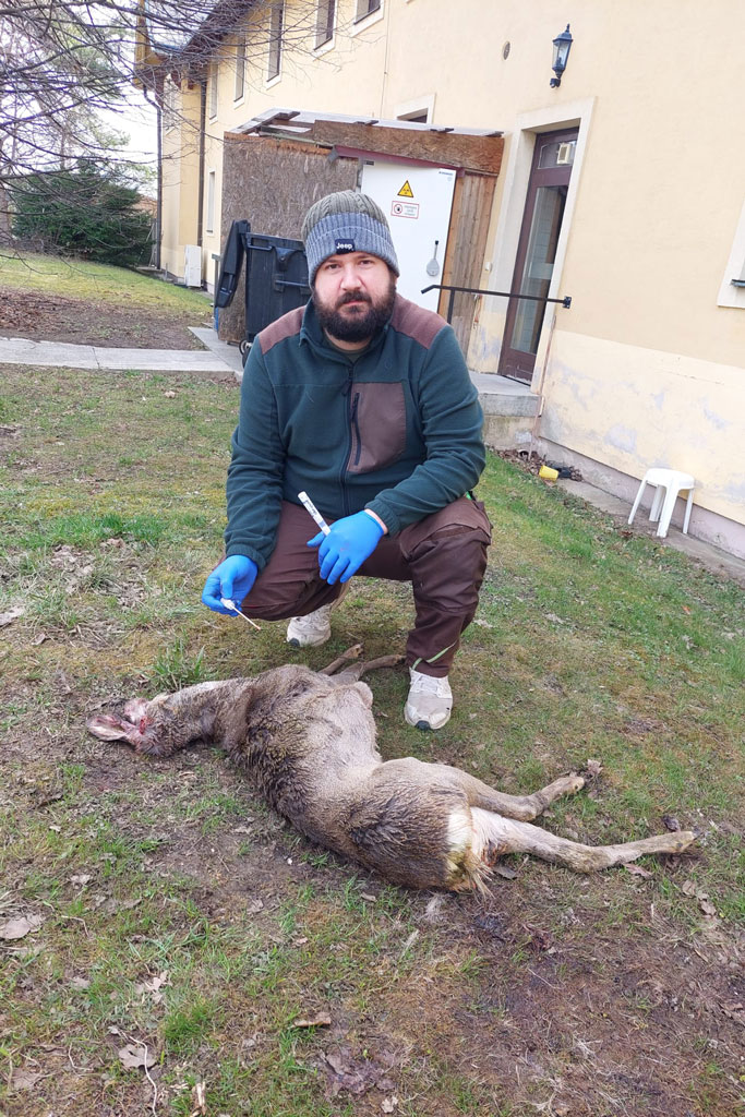Wildriss begutachten: Jagdfakten.at informiert