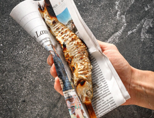 Von Aal bis Zander: Fische für den Grill