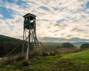 Hochsitz Sicherheit - Jagdfakten.at informiert