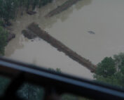 Hochwasser - Schutz für Wildtiere: Jagdfakten.at informiert