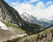Schutzschild Wald - Gefahr durch Erosion: Jagdfakten.at informiert
